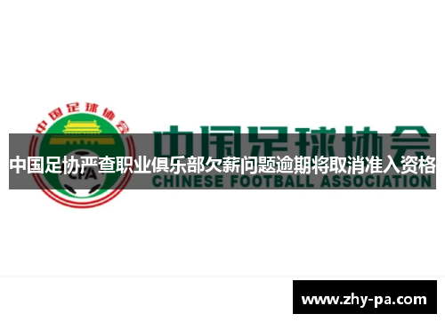 中国足协严查职业俱乐部欠薪问题逾期将取消准入资格 中国足协严查职业俱乐部欠薪问题逾期将取消准入资格