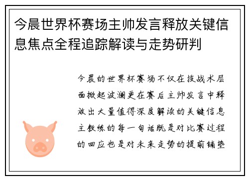 今晨世界杯赛场主帅发言释放关键信息焦点全程追踪解读与走势研判